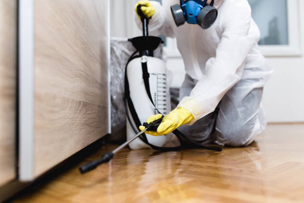 Best Residential Pest Control  in Sullivan, IL