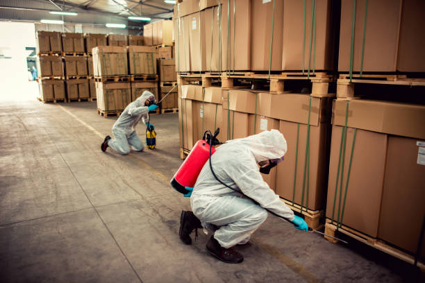Best Wildlife Control Services  in Sullivan, IL