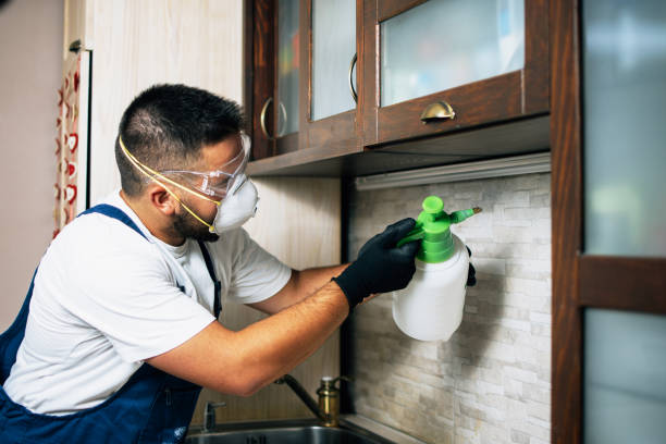 Best Local Pest Control Services  in Sullivan, IL