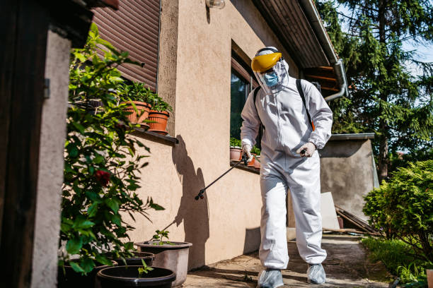 Best Cockroach Control Services  in Sullivan, IL