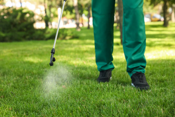 Best Mosquito Control Services  in Sullivan, IL