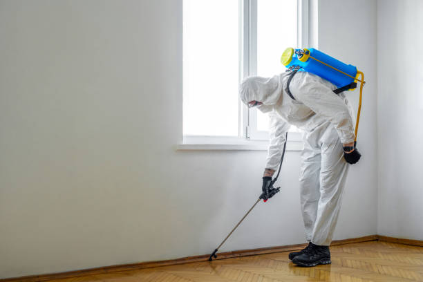 Best Pest Inspection Near Me  in Sullivan, IL