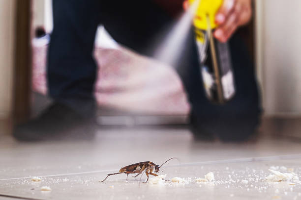 Best Affordable Pest Control Services  in Sullivan, IL