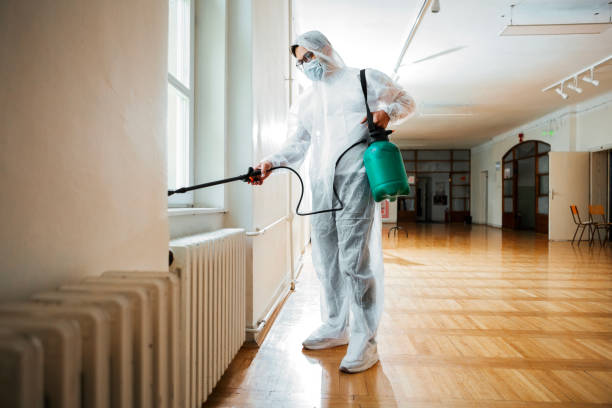 Best Bed Bug Extermination  in Sullivan, IL
