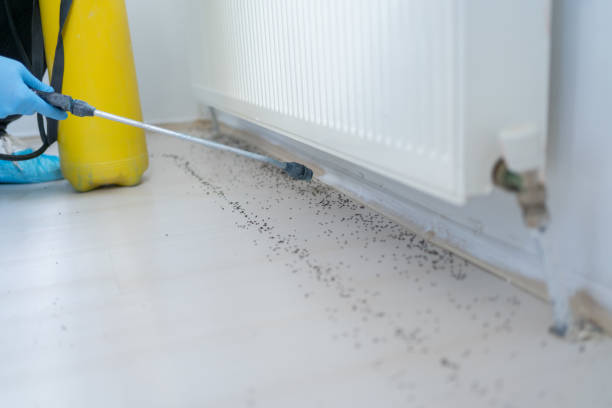 Sullivan, IL Pest Control Company