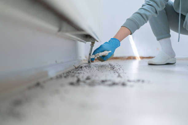 Best Exterminator Services  in Sullivan, IL